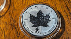 2016 Canada Maple Leaf Bigfoot Privy 1 Troy Oz 9999 Silver Coin In Capsule Rare