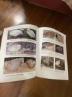 Button Quail Book - The Care Breeding And Genetics Of The Button Quail Book