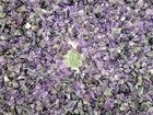 Tumbled Amethyst Crystal Chips Bulk Gemstone Undrilled Beads Natural Stones 