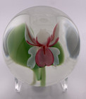 Orient flume L e  1986 Scott Beyers Lady Slipper Orchid Glass Paperweight