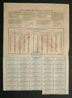 Antique Share   Compania De Los Ferrocarriles De Puerto Rico 1888