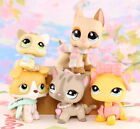5 Lot Pet Shop Dogs And Cats Collectable With Accessories Kids Gift Lps Toys
