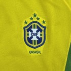 Nike Brazil Brasil Cbf Home Jersey 2014 Yellow  Green Mens Large Dri-fit