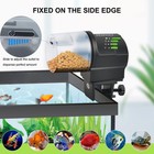 Fish Feeder Automatic Wifi Dispenser Aquarium Turtle Tank Dxophiex Vacation Ring