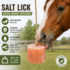 Salt Lick Himalayan Pink Salt Lick Block 5-6lb For Horses Deer   Animals 1 To 12