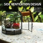 Large Glass Terrarium Centerpiece For Succulents  Cacti  Air Plants  Mini