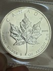 2013 Canada 5 Dollars Silver Maple Leaf 1 Oz Silver