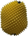 Fits Air Filter Proline