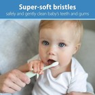 Dr  Brown s Infant-to-toddler Toothbrush  Elephant  Mint  0-3 Years