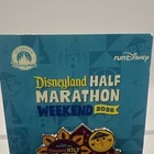Disney Disneyland Half Marathon Weekend 2026 Limited Release Small World Pin