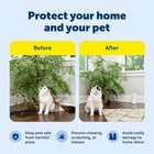 Petsafe Ssscat Automatic Spray Cat Dog Deterrent Motion-activated Ppd00-17617