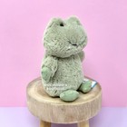 Jellycat Nippit Frog Small Soft Plush Toy Nwt Mossy Minty Lovey Pond Whimsy Gem