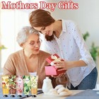 12 Pack Hand Cream For Dry Cracked Hands  Great For All Holiday Gifting