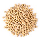 Organic Soybeans      No-gmo  Vegan  Kosher  Bulk     By Food To Live