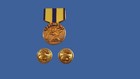 U s Military Navy Expeditionary Medal Hat Lapel Pin Miniature Size 1 1 8  New