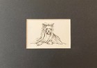 Yorkshire Terrier Sit - Matted   Framed   Ready To Gift - 1963 Vintage Dog Print