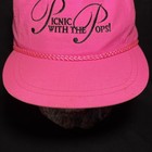 Picnic With The Pops Columbus Symphony Snapback Hat Summer Concerts Vintage 90s