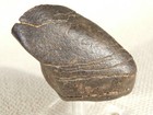 Larger  N w a  Stone Meteorite With Dark Fusion Crust  Fell In Libya 277gr