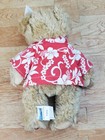 Hard Rock Cafe Cozumel 2004 Aloha Teddy Bear 10  Plush Tag  262