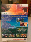Pokemon Mini Movie Flyer Poster Japan Secrets Of The Jungle Chirashi Mini Poster