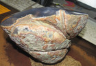1 Huge 8x7x3 5 Inch Brazilian Agate Crystal Geode Polished