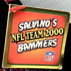 Arizona Cardinals Stuffed Bear Salvinos Bammers Nfl Team 2000 Plush Toy W  Tags