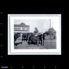 Old Vintage Photo Solo Woman Mule Pack Street Scene Found Snapshot Photograph