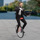 24 In Wheel Unicycle Skid-proof Tire Exercise Cycling Bicycle Adjustable Height 