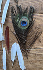 Vintage Millinery Hat Feathers Lot  Plumes  Crafting Costume Excellent Condition