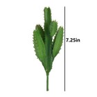 Bluecell 2pcs Real Looking Artificial Cactus Plant Diy Material For Home Deco   