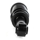 Front Struts   Coil Spring For 2009-2013 Ford F-150 Shock Kit 171141 2-pack