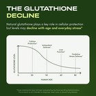 Catakor Liposomal Glutathione 1000mg     Ultra High Absorption With Resveratrol   