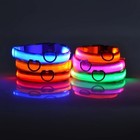Led Dog Leash   Collar Nylon Night Safety Flashing Glow In Dark Pet Harness