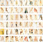Pinup Girls Playing Cards  poker Deck 54 Cards All Different  Vintage Retro Clas