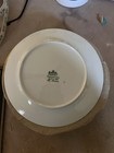 Rosenthal China Dresden Pattern