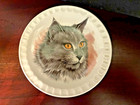 Falconware Ceramic 4 3 4 In  Decorative Cat Plates-set Of 3