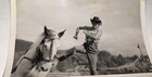 Rare Vintage American Wild West Cowgirl Trick Horse Riding Snapshot Photo  1950s
