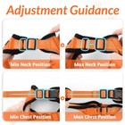 Rabbitgoo Cat Harness And Lead Escape Proof Adjustable Reflective Vest Orange