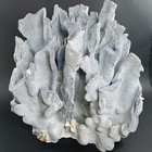 Vintage Heavy Large Blue Ridge Coral Rock Cluster  Heliopora Coerulea Specimen