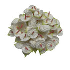 60 Pcs Small Anthurium 2 3 Cm Clay Flower For Jewelry Making Diy Craft Supplies
