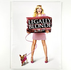 Legally Blonde Broadway Musical Souvenir Brochure Program   Bag Laura Bell Bundy
