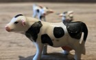 Miniature Cow 2 Calves Bone China Farm Animal Family Black White Dairy Holstein