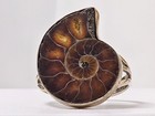Antique   Vintage Ammonite Fossil Sterling Silver Ring Size 11 25