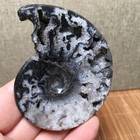 65g  Natural Polishing Black Stone Sculptor Decoration Specimen Fb1943