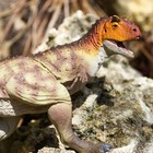 Safari Ltd  Carnotaurus Figurine - Realistic 11  Model Figure - Educational D   