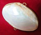 Vintage Mother Of Pearl Brass Shell Coin Purse Pill Case Trinket Box 4  X 3 