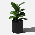 16  Planter Black