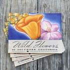 7 Vintage 1930s Richfield Gasoline Dealer Wild Flower Booklet Ca   Pacific Nw