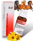      Adel 36 Drops 20ml X 3   Pollon   Homeopathy   R 41 X 3 Free Ship