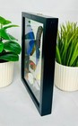 Real Butterflies One Blue Morpho Didius Plus 6 Amazing Butterflies 